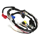 Chicote Completo Intruder 125 2004-2007 Magnetron - Next Gear