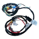 Chicote Completo Intruder 125 2004-2007 Magnetron - Next Gear