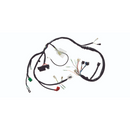 Chicote Fiação Completa Cg Fan 125 Ks Pedal 2011-2013 - Next Gear