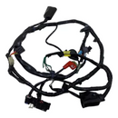 Chicote Fiação Completa Cg Fan 125 Ks Pedal 2011-2013 - Next Gear