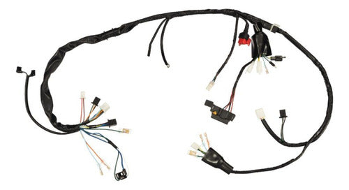 Chicote Fiação Principal Honda Cg150/es/esd 04-08 Magnetron - Next Gear