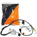 Chicote Principal Cg 125 1976-1980 Fiação - Next Gear