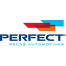 Cilindro Roda Traseira Renault Laguna Scenic Laguna Nevada - PERFECT