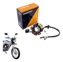Estator Cg 125 Titan / Cargo 92 Até 99 Original Magnetron - Next Gear