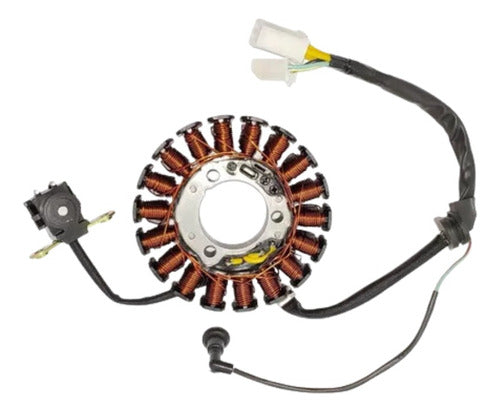 Estator Completo Honda Cb 250 Twister 2015 2016 Sct Original - Next Gear