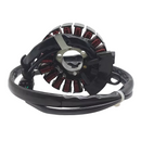 Estator Moto Completo Honda Pcx 150 2019-2022 Magnetron - Next Gear