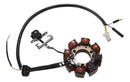 Estator Moto Magneto Honda Crf 230 2006 Até 2019 90278780 - Next Gear