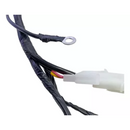 Fiação Chicote Principal Magnetron Speed 150 2007... - Next Gear