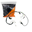 Fiação Chicote Principal Today 125 1989-1991 Magnetron - Next Gear