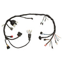 FIACAO.PRIN. CBX 250 TWISTER 04-05 - Next Gear