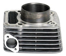 Kit Motor Cilindro Honda Cbx250/twister/xr250/tornado 01-08 - Next Gear