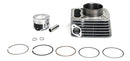 Kit Motor Cilindro Honda Cbx250/twister/xr250/tornado 01-08 - Next Gear