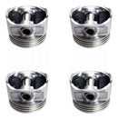 Kit Motor Mahle Ford Del Ray / Escorte / Pampa / Verona - Mahle