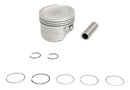 Kit Motor Pistão Anéis Honda Cg125/es/esd/ks/ces/cks/fan 09 - Next Gear