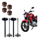Kit Válvula Admissão Escape E Retentores Cb Twister 250 2015 - Next Gear