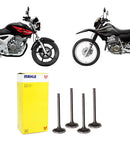 Kit Válvulas De Admissão + Escape Cb300/xre300/cbx250/xr250 - Next Gear