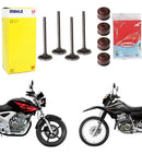 Kit Válvulas De Admissão + Escape E Retentores Cbx250/xr250 - Next Gear