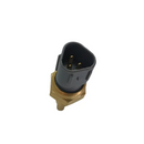 Sensor Temperatura LEAD 110 AT 2010 - 2015 Magnetron - Magnetron