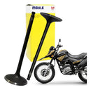 Válvula Admissão E Escape Yamaha Factor150/xtz150 Metal Leve - Next Gear