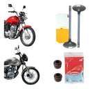 Válvula Admissão Escape E Retentores Honda Cg150 Titan/fan - Next Gear