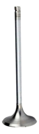 Válvula Admissão Honda Cg125/titan/nxr125/bros Metal Leve - Next Gear