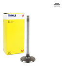 Válvula De Admissão Biz 110 Pop 110 2016... Metal Leve - Next Gear