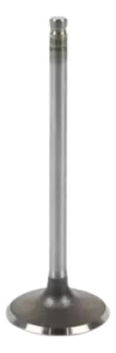 Válvula De Admissão Cg Titan 125 99 Today Xlr 125 Metal Leve - Next Gear