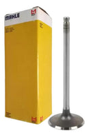 Válvula De Admissão Cg Titan 125 99 Today Xlr 125 Metal Leve - Next Gear