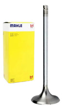 Válvula De Admissão Cg150/fan/titan/start 2019-2022 Mml - Next Gear