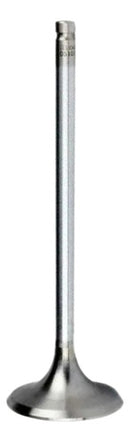 Válvula De Admissão Cg150/fan/titan/start 2019-2022 Mml - Next Gear