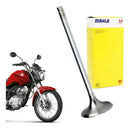 Válvula De Admissão Cg150/fan/titan/start 2019-2022 Mml - Next Gear