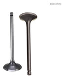 Válvula De Admissão + Escape Honda C100/dream/biz100/pop100 - Next Gear