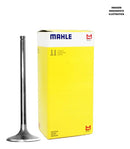 Válvula De Admissão Mahle Metal Leve Honda Cb400/ii - Next Gear