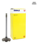 Válvula De Admissão Mahle Suzuki En125/intruder125/yes125 - Next Gear