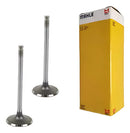 Válvula De Admissão Mml Honda Cg150/titan/fan/nxr150bros - Next Gear