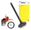 Válvula De Admissão Ybr Factor 125 2008 A 2015 Metal Leve - Next Gear