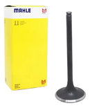 Válvula De Admissão Ybr Factor 125 2008 A 2015 Metal Leve - Next Gear