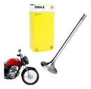 Válvula De Escape Cg Fan 125 / Nxr 125 2010-2012 Metal Leve - Next Gear