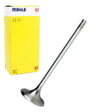 Válvula De Escape Cg Fan 125 / Nxr 125 2010-2012 Metal Leve - Next Gear