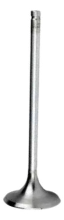 Válvula De Escape Cg Fan 125 / Nxr 125 2010-2012 Metal Leve - Next Gear