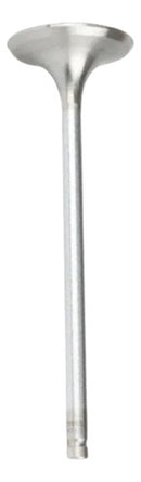 Válvula De Escape Cg Titan 125 99 Today Xlr 125 Metal Leve - Next Gear