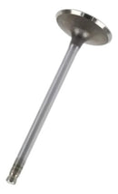 Válvula De Escape Honda Xre 190 2016 2017... Metal Leve - Next Gear