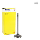 Válvula De Escape Mahle Honda Xl125/ml125/turuna/xls125 - Next Gear