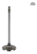 Válvula De Escape Mahle Honda Xl125/ml125/turuna/xls125 - Next Gear