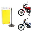 Válvula De Escape Mahle Honda Xl125/ml125/turuna/xls125 - Next Gear