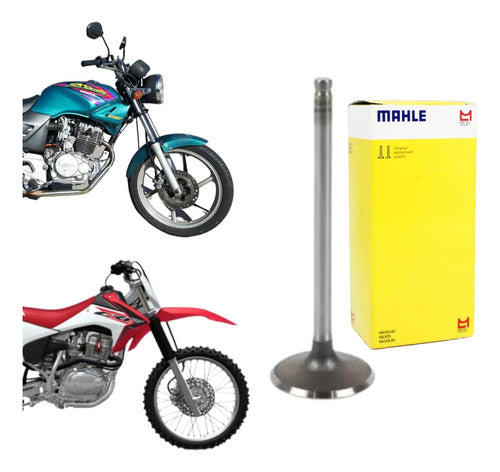 Válvula De Escape Metal Leve Cbx200/strada/crf230/nx200 - Next Gear