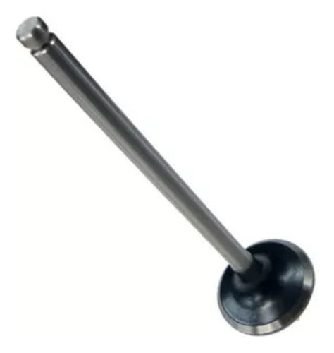 Valvula De Escape Metal Leve Ybr 125 Factor 125 Xtz 125 - Next Gear