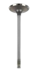 Válvula De Escape + Retentores Cbx200/strada/crf230/nx200 - Next Gear