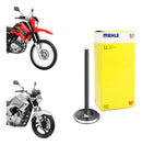 Válvula De Escape Xtz/lander/tenere/fazer/250 Metal Leve - Next Gear