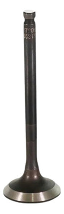 Válvula De Escape Yamaha Crypton T115/k 2010-2016 Metal Leve - Next Gear